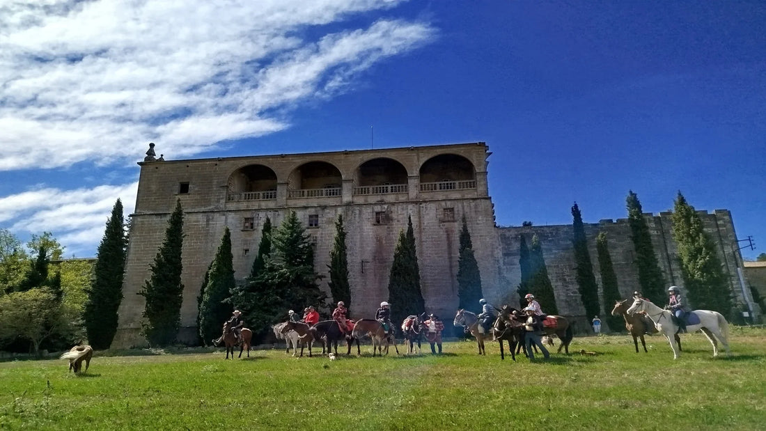 Rutes a cavall d’un dia amb dinar a Solsona | Hípica Cap de Costa